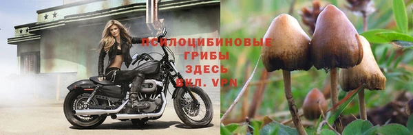 шишки Абдулино