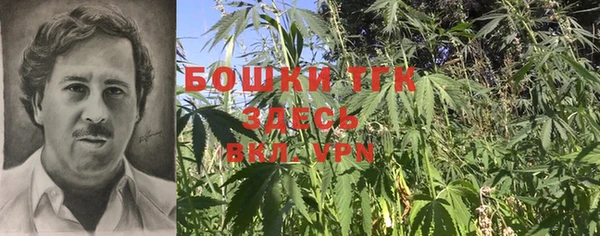 шишки Абдулино