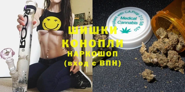 PSILOCYBIN Абаза