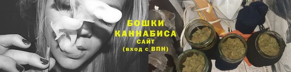 твердый Инсар