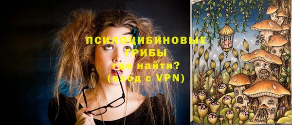 шишки Абдулино
