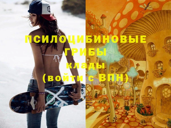 шишки Абдулино