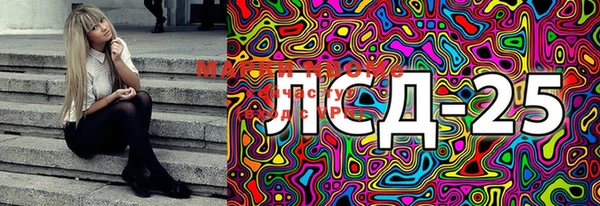 PSILOCYBIN Абаза