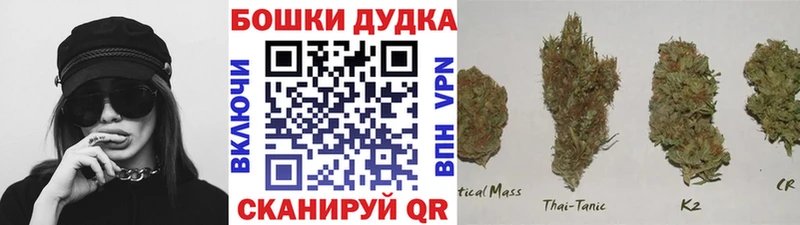 Шишки марихуана Bruce Banner Лысково